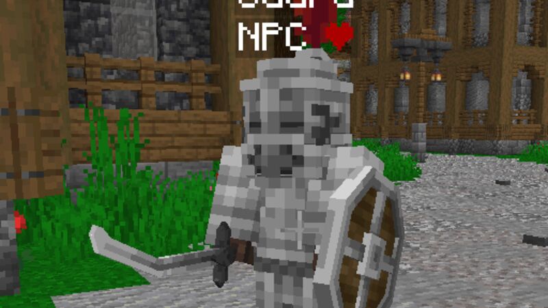 Custom NPC's