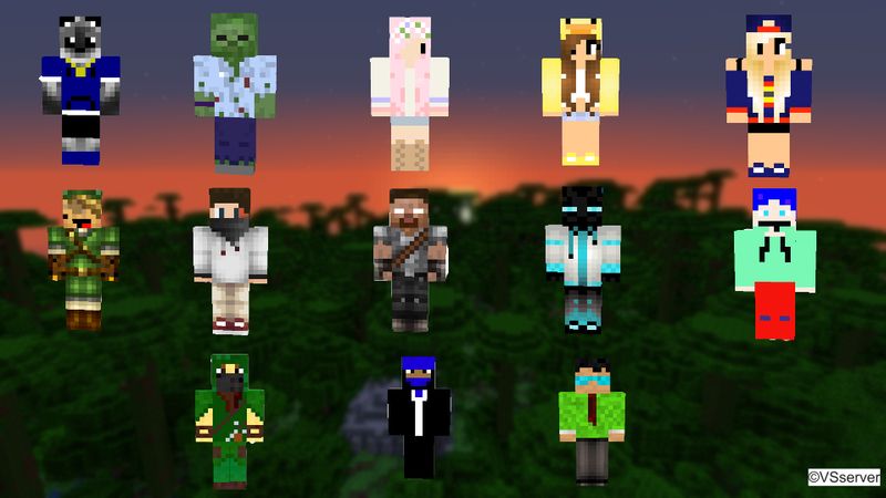 people that play on the VSserver people that play on the VSserver