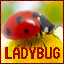 Ladybug MC Network