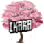 Ikara Network